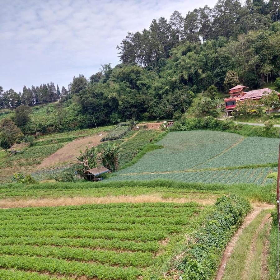 Sapo Rumbia Берастаги Номер фото